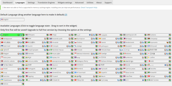 How-To-Make-Your-WordPress-Website-Multi-Lingual-Transposh-2